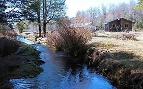 Cabaña Los Chilcos
